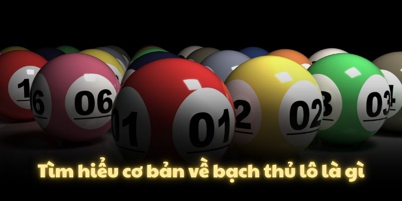 Tìm hiểu cơ bản về bạch thủ lô là gì