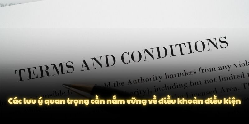 Các lưu ý quan trọng cần nắm vững về điều khoản điều kiện